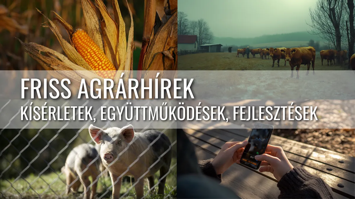 Friss Agrárhírek: Kísérletek, Együttműködések, Fejlesztések