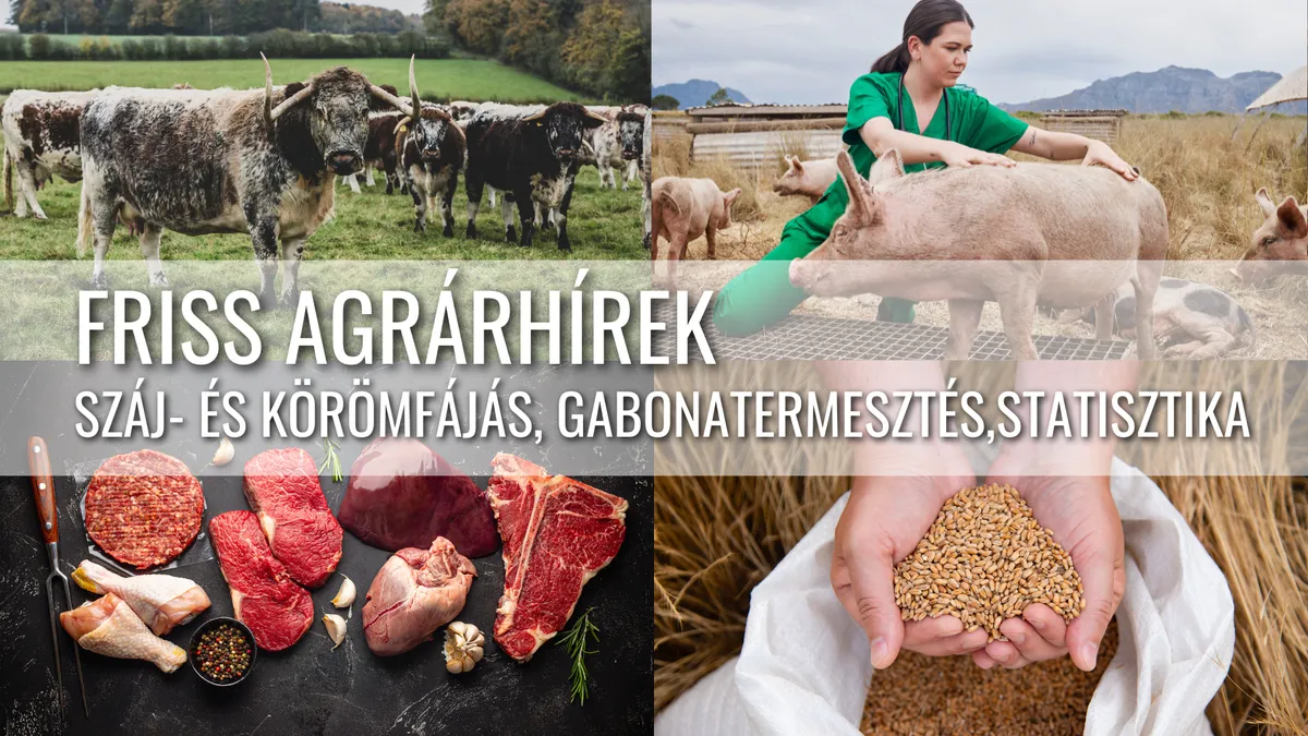 Friss agrárhírek: Támogatások, Gabonapiac, Vágási Statisztikák és Állategészségügy