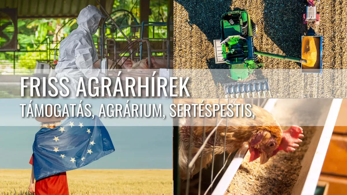 Sertéspestis a határon, támogatási ígéretek és agrárpiaci kilátások