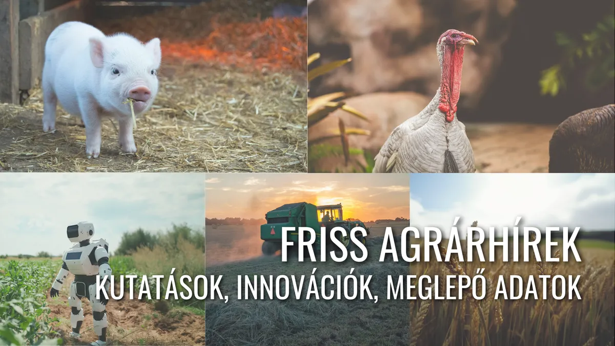 Mezőgazdasági innovációk: A jövő termése már itt van