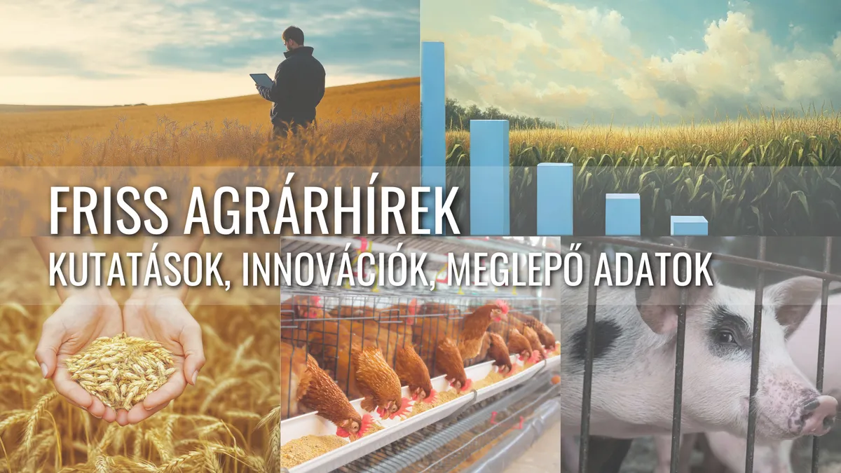 AI és Robotika: A Mezőgazdaság Jövője
