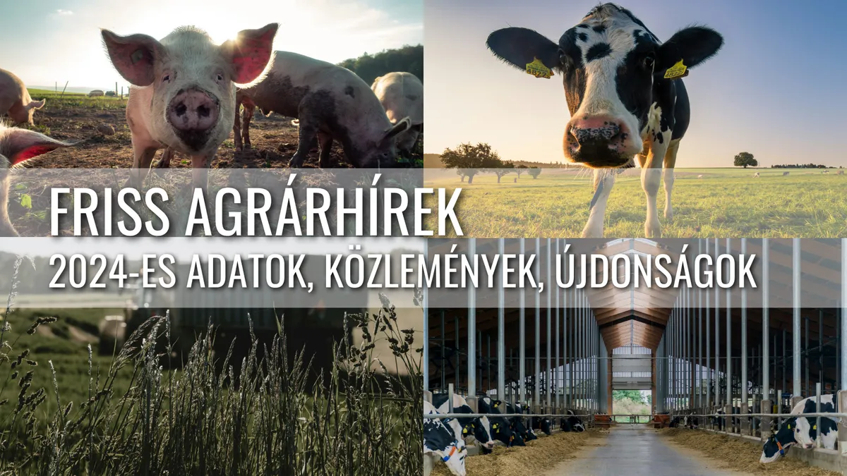 Németország és Európa Állattenyésztési Kihívásai: Csökkenő Farmok, Új Lehetőségek