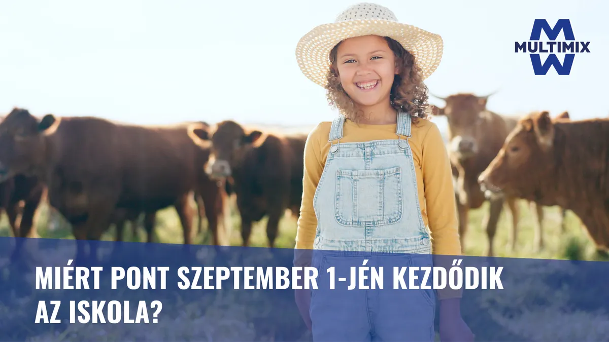 Miért pont szeptember 1-jén kezdődik az iskola? – Agrárhagyomány a tanév mögött