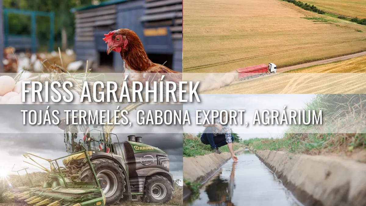 Tojástermelés hatékonyabban, exportkilátások és aszályvédelem – aktuális agrártrendek