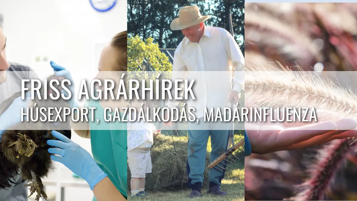 Emberi H5N5 fertőzés, uniós generációváltás és a hazai vetésszerkezet átalakulása